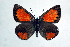  ( - DNAwthTomares 032)  @14 [ ] Copyright (2009) Unspecified Unspecified