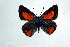  ( - DNAwthTomares 035)  @14 [ ] Copyright (2009) Unspecified Unspecified