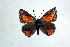  ( - DNAwthTomares 037)  @14 [ ] Copyright (2009) Unspecified Unspecified