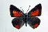  ( - DNAwthTomares 038)  @14 [ ] Copyright (2009) Unspecified Unspecified