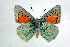  ( - DNAwthTomares 038)  @14 [ ] Copyright (2009) Unspecified Unspecified