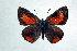  ( - DNAwthTomares 040)  @14 [ ] Copyright (2009) Unspecified Unspecified