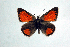  ( - DNAwthTomares 047)  @14 [ ] Copyright (2009) Unspecified Unspecified