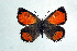  ( - DNAwthTomares 048)  @14 [ ] Copyright (2009) Unspecified Unspecified