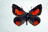  ( - DNAwthTomares 010)  @14 [ ] Copyright (2009) Unspecified Unspecified