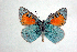 ( - DNAwthTomares 010)  @14 [ ] Copyright (2009) Unspecified Unspecified
