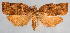  ( - JWB-08-0127)  @13 [ ] CreativeCommons - Attribution (2010) Unspecified Centre for Biodiversity Genomics