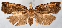  ( - JWB-08-0153)  @13 [ ] CreativeCommons - Attribution (2010) Unspecified Centre for Biodiversity Genomics