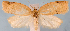  ( - JWB-08-0158)  @13 [ ] CreativeCommons - Attribution (2010) Unspecified Centre for Biodiversity Genomics
