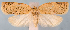  ( - JWB-08-0159)  @13 [ ] CreativeCommons - Attribution (2010) Unspecified Centre for Biodiversity Genomics