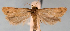  ( - JWB-08-0175)  @14 [ ] CreativeCommons - Attribution (2010) Unspecified Centre for Biodiversity Genomics