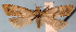  ( - JWB-08-0177)  @13 [ ] CreativeCommons - Attribution (2010) Unspecified Centre for Biodiversity Genomics