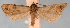  ( - JWB-08-0178)  @13 [ ] CreativeCommons - Attribution (2010) Unspecified Centre for Biodiversity Genomics