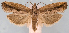  ( - JWB-08-0184)  @14 [ ] CreativeCommons - Attribution (2010) Unspecified Centre for Biodiversity Genomics