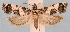  ( - JWB-08-0206)  @14 [ ] CreativeCommons - Attribution (2010) Unspecified Centre for Biodiversity Genomics