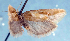  ( - JWB-08-0212)  @13 [ ] CreativeCommons - Attribution (2010) Unspecified Centre for Biodiversity Genomics