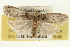  ( - 09-JBTOR-0354)  @13 [ ] CreativeCommons - Attribution (2009) Unspecified Centre for Biodiversity Genomics