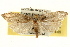  ( - 09-JBTOR-0355)  @13 [ ] CreativeCommons - Attribution (2009) Unspecified Centre for Biodiversity Genomics