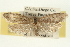  ( - 09-JBTOR-0363)  @13 [ ] CreativeCommons - Attribution (2009) Unspecified Centre for Biodiversity Genomics