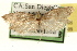  ( - 09-JBTOR-0365)  @11 [ ] CreativeCommons - Attribution (2009) Unspecified Centre for Biodiversity Genomics
