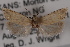  ( - 09-JBTOR-0655)  @11 [ ] CreativeCommons - Attribution (2010) Unspecified Centre for Biodiversity Genomics