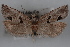  ( - 09-JBTOR-0562)  @14 [ ] CreativeCommons - Attribution (2010) Unspecified Centre for Biodiversity Genomics