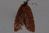  ( - 09-JBTOR-0752)  @12 [ ] CreativeCommons - Attribution (2010) Unspecified Centre for Biodiversity Genomics