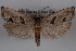  ( - 09-JBTOR-0563)  @14 [ ] CreativeCommons - Attribution (2010) Unspecified Centre for Biodiversity Genomics