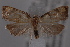  ( - 09-JBTOR-0753)  @13 [ ] CreativeCommons - Attribution (2010) Unspecified Centre for Biodiversity Genomics
