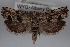  ( - 09-JBTOR-0564)  @12 [ ] CreativeCommons - Attribution (2010) Unspecified Centre for Biodiversity Genomics