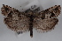  ( - 09-JBTOR-0566)  @13 [ ] CreativeCommons - Attribution (2010) Unspecified Centre for Biodiversity Genomics