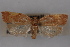  ( - 09-JBTOR-0377)  @12 [ ] CreativeCommons - Attribution (2010) Unspecified Centre for Biodiversity Genomics