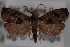  ( - 09-JBTOR-0472)  @11 [ ] CreativeCommons - Attribution (2010) Unspecified Centre for Biodiversity Genomics