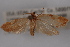  ( - 09-JBTOR-0379)  @13 [ ] CreativeCommons - Attribution (2010) Unspecified Centre for Biodiversity Genomics