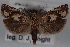  ( - 09-JBTOR-0572)  @13 [ ] CreativeCommons - Attribution (2010) Unspecified Centre for Biodiversity Genomics