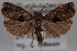  ( - 09-JBTOR-0478)  @14 [ ] CreativeCommons - Attribution (2010) Unspecified Centre for Biodiversity Genomics