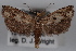  ( - 09-JBTOR-0573)  @12 [ ] CreativeCommons - Attribution (2010) Unspecified Centre for Biodiversity Genomics