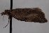  ( - 09-JBTOR-0668)  @12 [ ] CreativeCommons - Attribution (2010) Unspecified Centre for Biodiversity Genomics