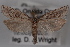  ( - 09-JBTOR-0574)  @13 [ ] CreativeCommons - Attribution (2010) Unspecified Centre for Biodiversity Genomics