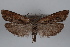  ( - 09-JBTOR-0764)  @13 [ ] CreativeCommons - Attribution (2010) Unspecified Centre for Biodiversity Genomics