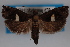  ( - 09-JBTOR-0480)  @11 [ ] CreativeCommons - Attribution (2010) Unspecified Centre for Biodiversity Genomics