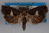  ( - 09-JBTOR-0481)  @11 [ ] CreativeCommons - Attribution (2010) Unspecified Centre for Biodiversity Genomics