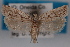  ( - 09-JBTOR-0576)  @14 [ ] CreativeCommons - Attribution (2010) Unspecified Centre for Biodiversity Genomics