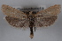  ( - 09-JBTOR-0580)  @13 [ ] CreativeCommons - Attribution (2010) Unspecified Centre for Biodiversity Genomics