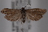  ( - 09-JBTOR-0771)  @12 [ ] CreativeCommons - Attribution (2010) Unspecified Centre for Biodiversity Genomics