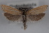  ( - 09-JBTOR-0583)  @12 [ ] CreativeCommons - Attribution (2010) Unspecified Centre for Biodiversity Genomics