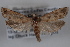  ( - 09-JBTOR-0587)  @13 [ ] CreativeCommons - Attribution (2010) Unspecified Centre for Biodiversity Genomics