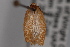  ( - 09-JBTOR-0777)  @13 [ ] CreativeCommons - Attribution (2010) Unspecified Centre for Biodiversity Genomics