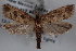  ( - 09-JBTOR-0588)  @13 [ ] CreativeCommons - Attribution (2010) Unspecified Centre for Biodiversity Genomics