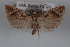  ( - 09-JBTOR-0589)  @13 [ ] CreativeCommons - Attribution (2010) Unspecified Centre for Biodiversity Genomics